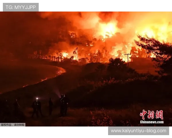 开云体育买波胆步骤避坑指南品牌入口下载评测